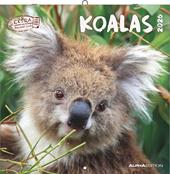 ALPHA EDITION - Calendario 2026 da muro, 12 mesi, 30x30 cm, Koalas
