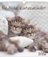 ALPHA EDITION - Calendario 2026 da muro, 12 mesi, 30x34 cm, Cute Cats
