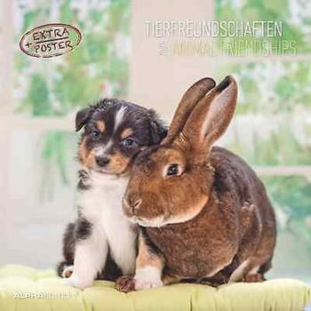 Alpha Edition - Calendario 2025 da muro Animal Frienship, 12 mesi, 30x30 cm  Alpha Edition 2024 | libraccio.click