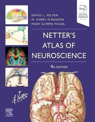 Netter's Atlas of Neuroscience - David L. Felten, Michael K. O'Banion, Mary Summo Maida - Libro Elsevier - Health Sciences Division, Netter Basic Science | libraccio.click