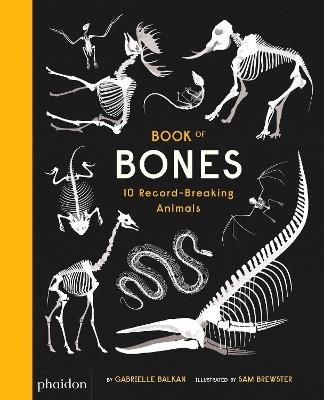 Book of bones. Ediz. a colori - Gabrielle Balkan, Sam Brewster - Libro Phaidon 2017, Libri per bambini | libraccio.click