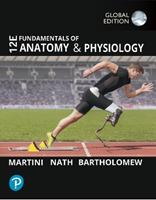 Fundamentals of Anatomy and Physiology, Global Edition - Frederic H. Martini, Judi Nath, Edwin Bartholomew - Libro Pearson Education Limited | libraccio.click