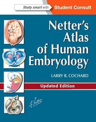Netter's Atlas of Human Embryology - Larry R. Cochard - Libro Elsevier Health Sciences, Netter Basic Science | libraccio.click