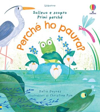 Perché ho paura? Ediz. a colori - Katie Daynes - Libro Usborne 2023, Sollevo e scopro. Primi perché | libraccio.click