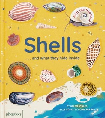 Shells and what they hide inside - Helen Scales - Libro Phaidon 2024 | libraccio.click