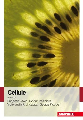 Cellule  - Libro Zanichelli 2008 | libraccio.click