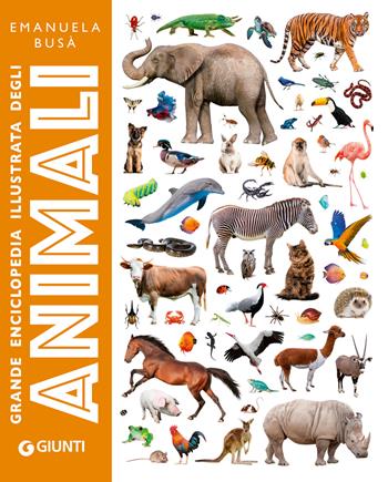 Grande enciclopedia illustrata degli animali. Ediz. a colori - Emanuela Busà - Libro Giunti Editore 2024, Animali e natura | libraccio.click