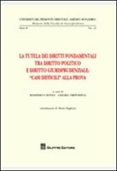 La tutela dei diritti fondamentali tra diritto politico e diritto giurisprudenziale. «Casi difficili» alla prova