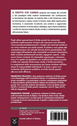Diritto penale. Una conversazione - Francesco Palazzo, Francesco Viganò - Libro Il Mulino 2018, Il diritto che cambia | libraccio.click