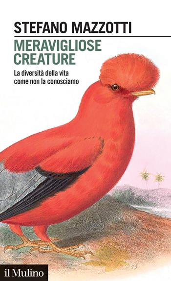 Meravigliose creature. La diversità della vita come non la conosciamo - Stefano Mazzotti - Libro Il Mulino 2024, Intersezioni | libraccio.click