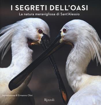 I segreti dell'Oasi. La natura meravigliosa di Sant'Alessio. Ediz. illustrata  - Libro Rizzoli 2014 | libraccio.click