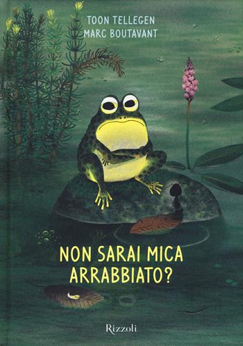 Non sarai mica arrabbiato? Ediz. illustrata - Toon Tellegen, Marc Boutavant - Libro Rizzoli 2014 | libraccio.click