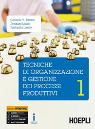 Tecniche di organizzazione e gestione dei processi produttivi. Per le Scuole superiori. Vol. 1 - Cataldo Vincenzo Biffaro, Rosalba Labile, Raffaella Labile - Libro Hoepli 2016 | libraccio.click