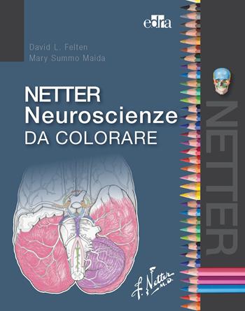 Netter neuroscienze da colorare - David L. Felten, Mary Summo Maida - Libro Edra 2021 | libraccio.click