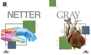 Netter Gray. L'anatomia: Anatomia del Gray-Atlante di anatomia umana di Netter - Frank H. Netter, Susan Standring - Libro Edra 2022 | libraccio.click