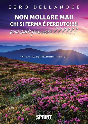 Non mollare mai! Chi si ferma è perduto! Ma sarà poi vero? - Ebro Dellanoce - Libro BooksprintEdizioni 2023 | libraccio.click