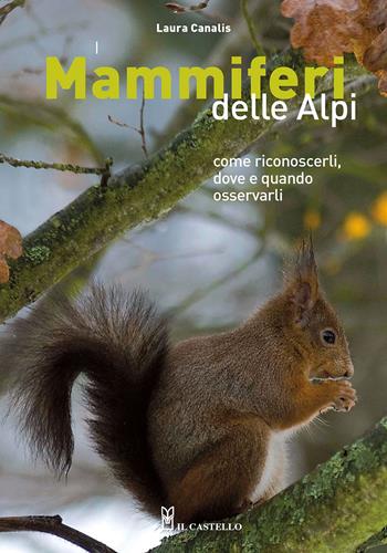 I mammiferi delle Alpi. Come riconoscerli, dove e quando osservarli - Laura Canalis - Libro Il Castello 2022, Natura | libraccio.click