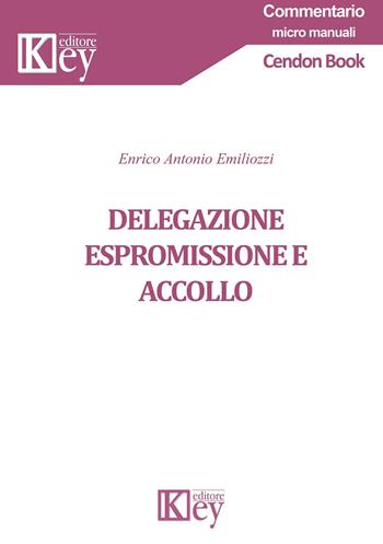 Delegazione espromissione e accollo - Enrico Antonio Emiliozzi - Libro Key Editore 2019, Commentario. Micromanuali | libraccio.click