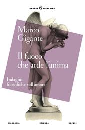 Il fuoco che arde l'anima. Indagini filosofiche sull'amore