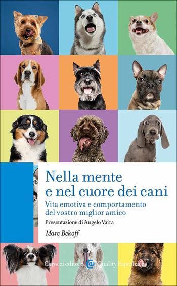 Nella mente e nel cuore dei cani. Vita emotiva e comportamento del vostro miglior amico - Marc Bekoff - Libro Carocci 2023, Quality paperbacks | libraccio.click
