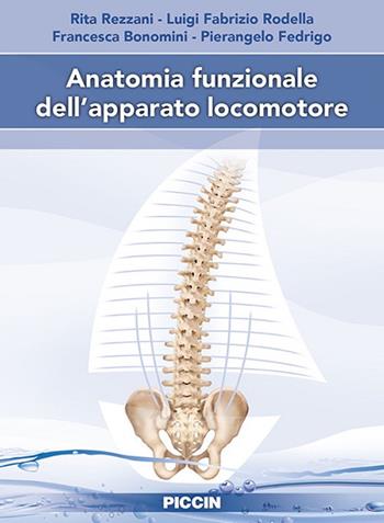 Anatomia funzionale dell'apparato locomotore - Rita Rezzani, Luigi Fabrizio Rodella, Francesca Bonomini - Libro Piccin-Nuova Libraria 2020 | libraccio.click