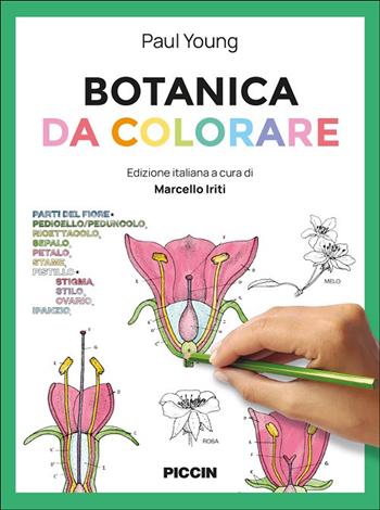 Botanica da colorare. Ediz. illustrata - Young Paul - Libro Piccin-Nuova Libraria 2025 | libraccio.click