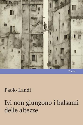 Ivi non giungono i balsami delle altezze - Paolo Landi - Libro Progetto Cultura 2024 | libraccio.click
