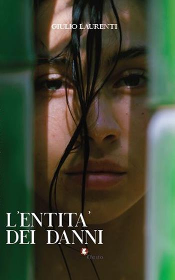 L'entità dei danni - Giulio Laurenti - Libro Edizioni Efesto 2023, Parerga | libraccio.click