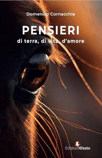 Pensieri. Di terra, di vita, d'amore - Domenico Cornacchia - Libro Edizioni Efesto 2023, Parerga | libraccio.click