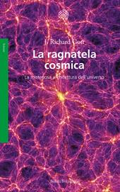 La ragnatela cosmica. La misteriosa architettura dell'universo