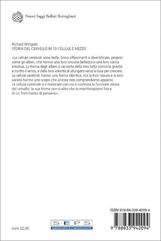 Storia del cervello in 10 cellule e mezzo - Richard Wingate - Libro Bollati Boringhieri 2023, Nuovi saggi Bollati Boringhieri | libraccio.click