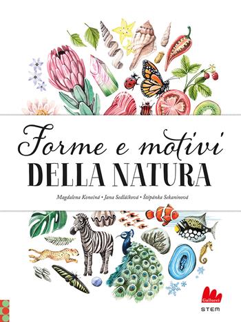 Forme e motivi della natura. Ediz. a colori - Jana Sedlácková, Stepánka Sekaninova - Libro Gallucci 2022, STEM | libraccio.click