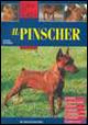 Il pinscher