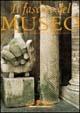 Il fascino dei musei. Ediz. illustrata