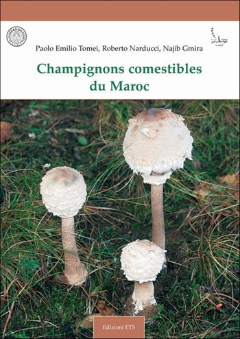 Funghi commestibili del Marocco. Ediz. italiana, francese e araba - Paolo E. Tomei, Roberto Narducci, Najib Gmira - Libro Edizioni ETS 2010 | libraccio.click