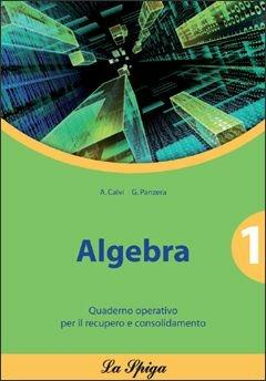 Algebra. Quaderno operativo. Per le Scuole superiori. Vol. 1 - Gabriella Panzera, Anna Calvi - Libro La Spiga Edizioni 2010 | libraccio.click