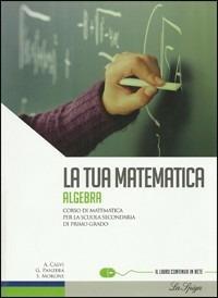 La tua matematica. Aritmetica-Geometria. Per la Scuola media. Con CD-ROM. Vol. 3 - Gabriella Panzera, Anna Calvi - Libro La Spiga Edizioni 2010 | libraccio.click