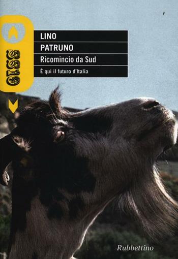 Ricomincio da Sud. È qui il futuro d'Italia - Lino Patruno - Libro Rubbettino 2012, SS19 | libraccio.click
