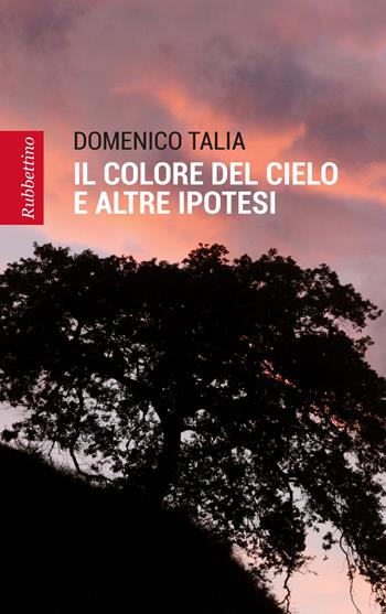 Il colore del cielo e altre ipotesi - Domenico Talia - Libro Rubbettino 2017, Patipatisse | libraccio.click