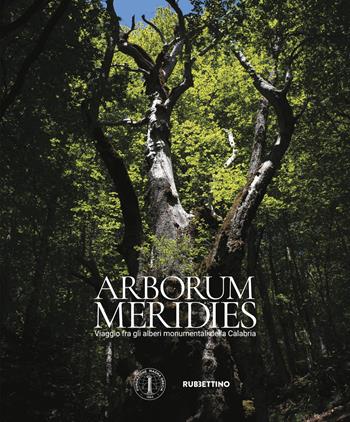 Arborum meridies Calabria. Viaggio fra gli alberi monumentali della Calabria  - Libro Rubbettino 2025, Varia | libraccio.click