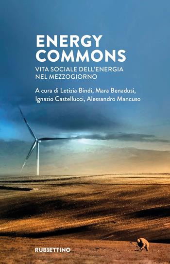 Energy commons. Vita sociale dell'energia nel Mezzogiorno  - Libro Rubbettino 2026, Varia | libraccio.click