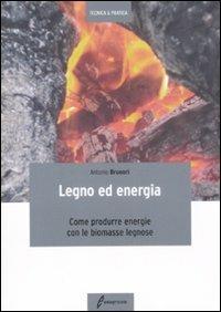 Legno ed energia. Come produrre energie con le biomasse legnose  - Libro Edagricole 2010, Tecnica & pratica | libraccio.click