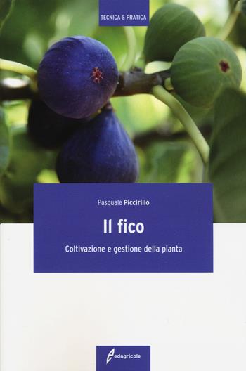 Il fico. Coltivazione e gestione della pianta - Pasquale Piccirillo - Libro Edagricole 2015, Tecnica & pratica | libraccio.click