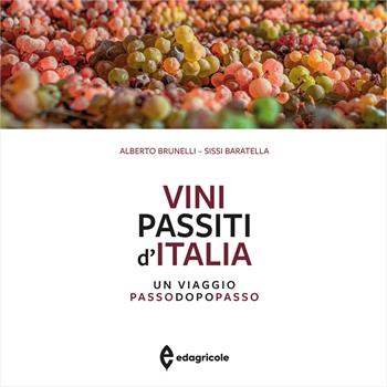 Vini passiti d'Italia. Un viaggio passo dopo passo. Ediz. a colori - Alberto Brunelli, Sissi Baratella - Libro Edagricole 2023, Monografie | libraccio.click
