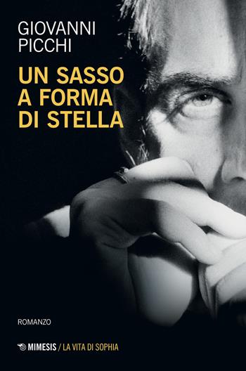 Un sasso a forma di stella - Giovanni Picchi - Libro Mimesis 2021, La vita di Sophia | libraccio.click