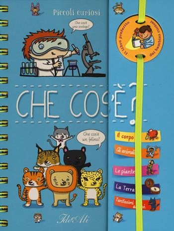 Che cos'è? Piccoli curiosi. Con adesivi. Ediz. a colori. Ediz. a spirale - Élisabeth Marrou - Libro IdeeAli 2018 | libraccio.click