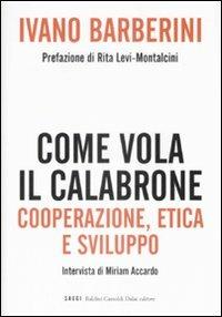 Come vola il calabrone. Cooperazione, etica e sviluppo - Ivano Barberini, Miriam Accardo - Libro Dalai Editore 2009, I saggi | libraccio.click