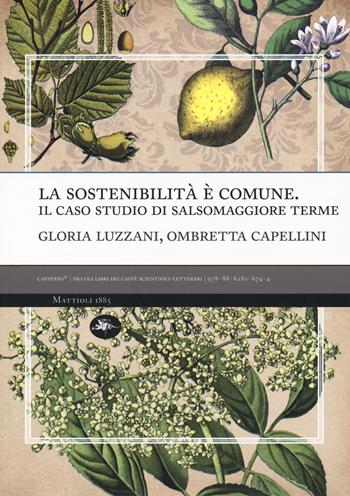 La sostenibilità è comune. Il caso studio di Salsomaggiore terme - Gloria Luzzani, Ombretta Capellini - Libro Mattioli 1885 2018, CaffExpò | libraccio.click