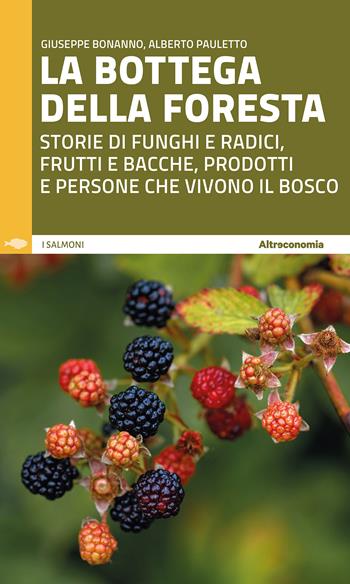 La bottega della foresta. Storie di funghi e radici, frutti e bacche, prodotti e persone che vivono il bosco - Giuseppe Bonanno, Alberto Pauletto - Libro Altreconomia 2024, I salmoni. Viaggi controcorrente per turisti responsabili | libraccio.click
