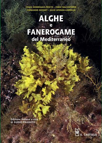 Alghe e fanerogame del Mediterraneo. Ediz. illustrata  - Libro Il Castello 2015, Natura | libraccio.click